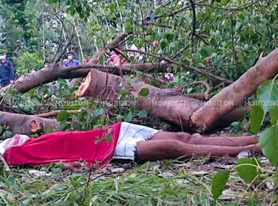 youth killed by tree in Nepal