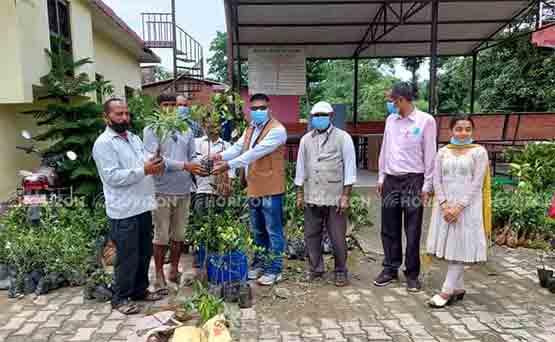 Sarawal rural municiplaity of Nepal distributed fruit seedling and sapling