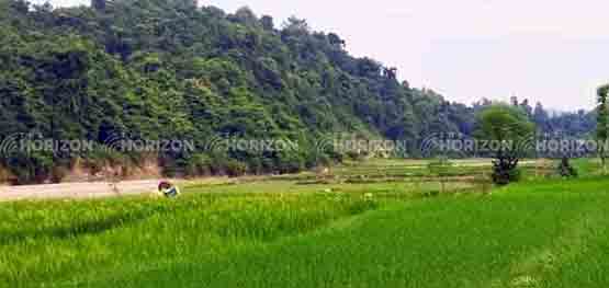 playground to paddy field