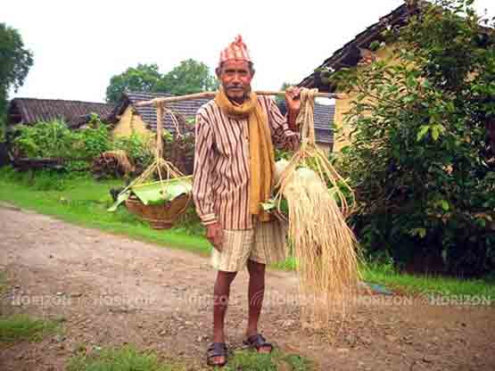 atwari festival of tharu 2